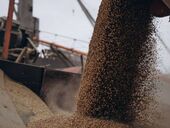 "Саботировать сделку или топить корабли". Будет ли продлено зерновое соглашение после 17 июля 