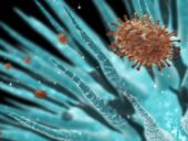 В десятки раз смертельнее коронавируса. На форуме в Давосе хотят обсудить подготовку к неизвестной болезни