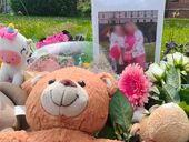 "Еще и собака зарезана". Что известно об убийстве украинки и ее дочери в Бельгии, в котором признался ее сын