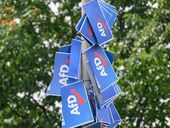 На западе ФРГ кандидаты из ультраправой "Альтернативы для Германии" показали успех на местных выборах