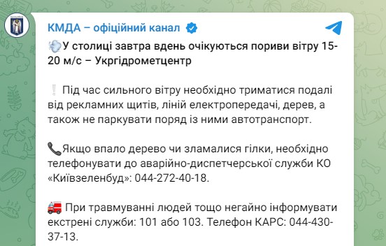 В среду в Киеве прогнозируют мощный ветер. В КГВА советуют подальше держаться от деревьев в рекламных щитов