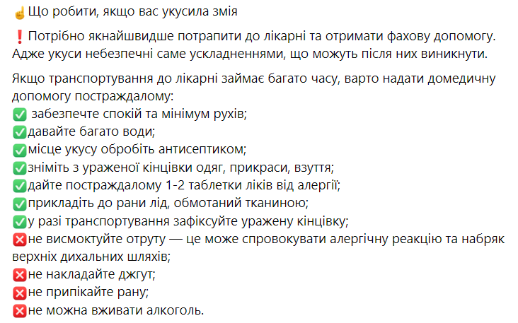 Что делать при укусе змеи