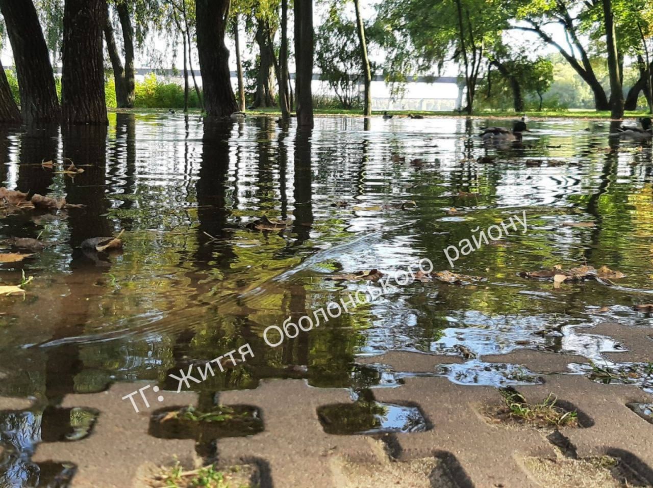 &nbsp;Так сейчас выглядит Днепр в Киеве на Оболони после того, как в реке поднялся уровень воды