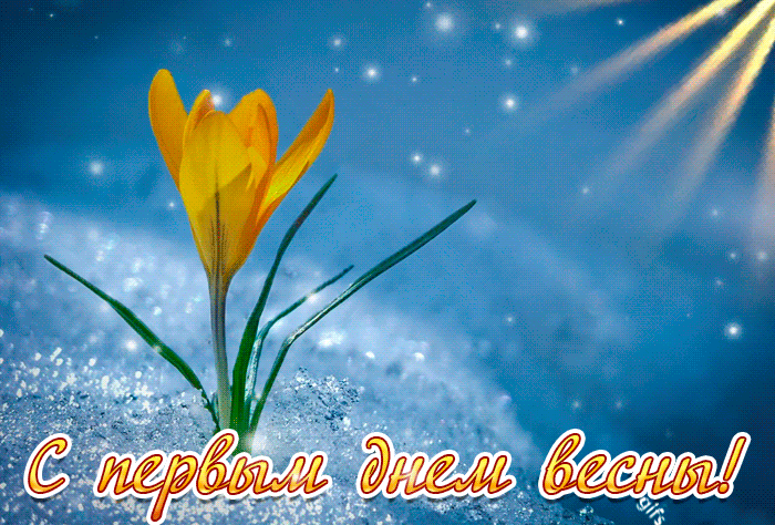 открытки с первым днем весны