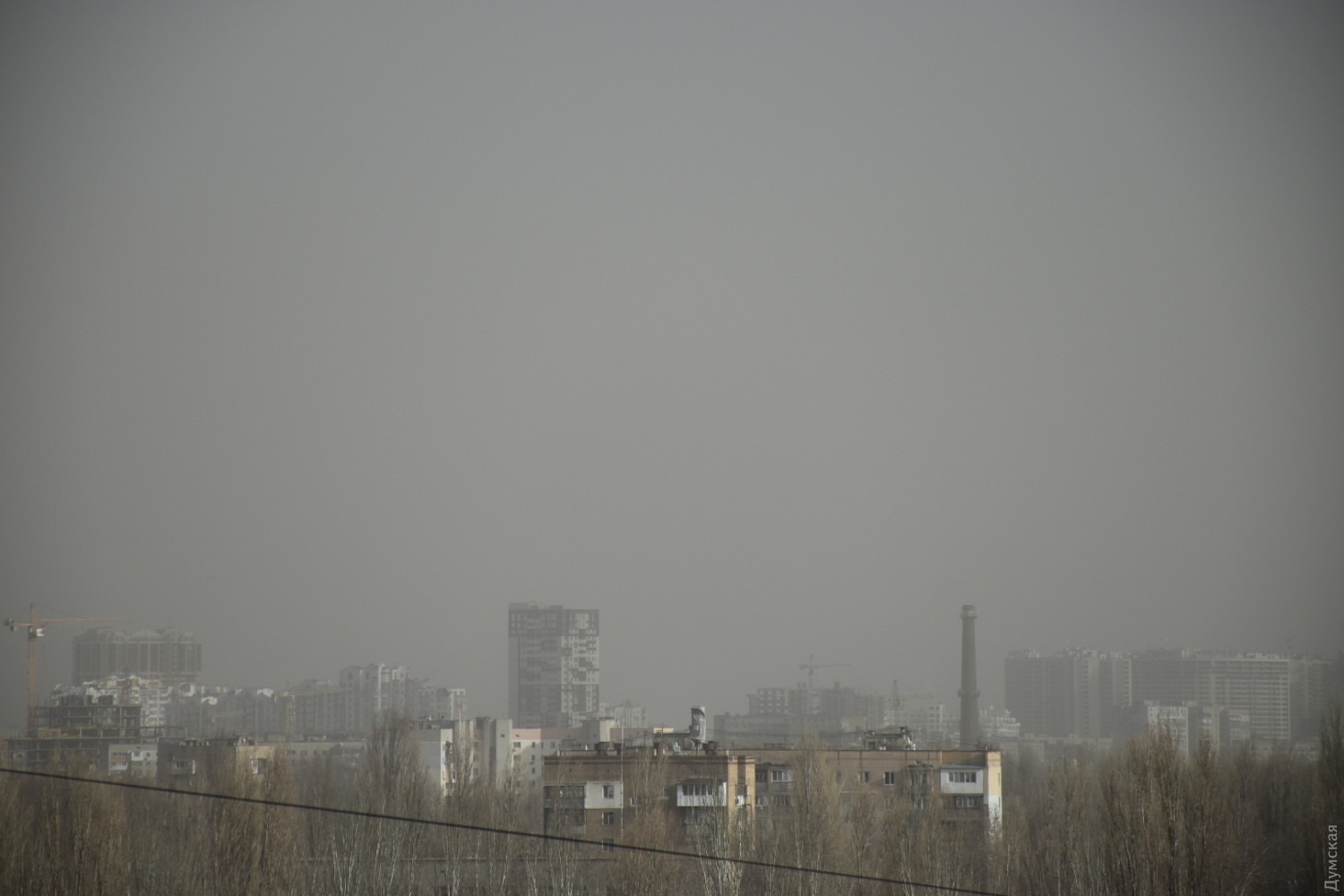 Фото: dumskaya.net