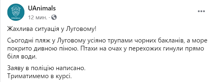 В Луговом Николаевской области, на пляже массово умирают черные бакланы. Cкриншот: Facebook/ UAnimals.official
