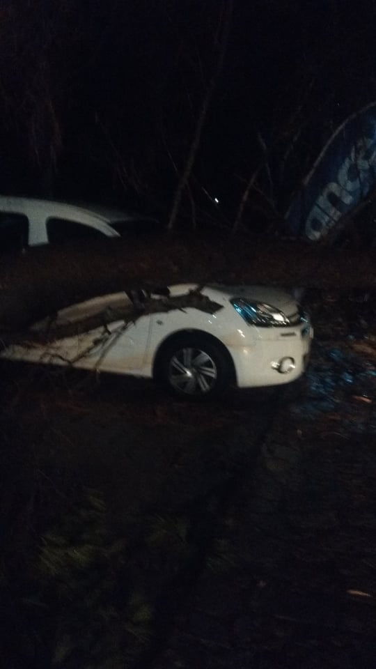 Первые жертвы шторма в Греции. Фото: Twitter / s@amna_news