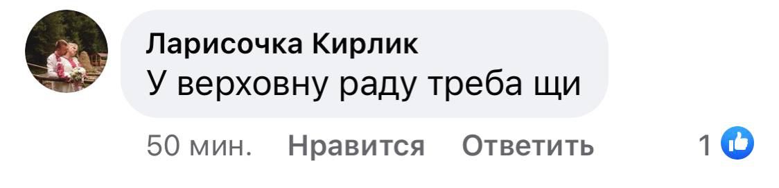 Снимок (3) комментария в соцсети